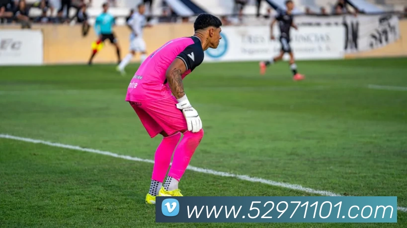 压球首页平台生态图